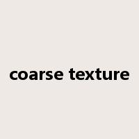 coarse texture是什么意思