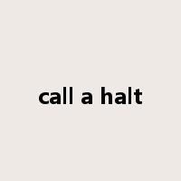 call a halt是什么意思