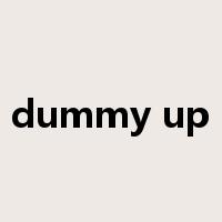 dummy up是什么意思