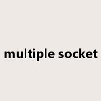 multiple socket是什么意思