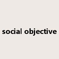 social objective是什么意思