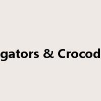 Alligators & Crocodiles是什么意思