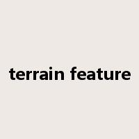 terrain feature是什么意思