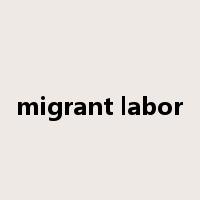 migrant labor是什么意思