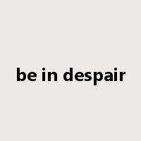 be in despair是什么意思