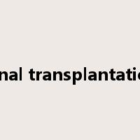 renal transplantation是什么意思