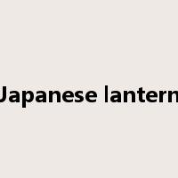 Japanese lantern是什么意思