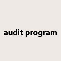audit program是什么意思
