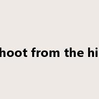 shoot from the hip是什么意思