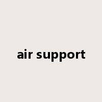 air support是什么意思