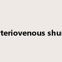 arteriovenous shunt是什么意思
