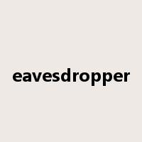 eavesdropper是什么意思