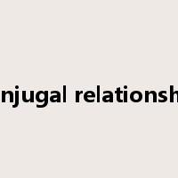 conjugal relationship是什么意思