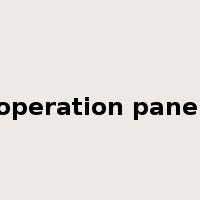 operation panel是什么意思
