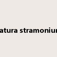 datura stramonium是什么意思