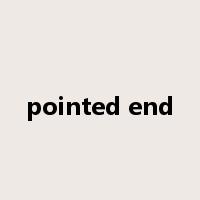 pointed end是什么意思