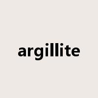 argillite是什么意思