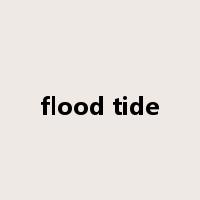 flood tide是什么意思
