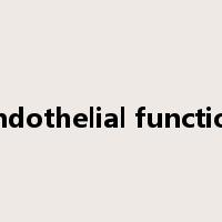 Endothelial function是什么意思