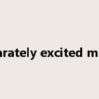 separately excited motor是什么意思
