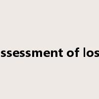 assessment of loss是什么意思