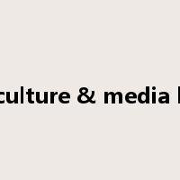 visual culture & media literacy是什么意思