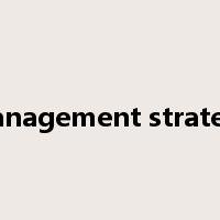 management strategy是什么意思