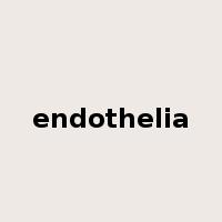 endothelia是什么意思