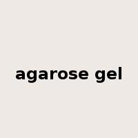 agarose gel是什么意思