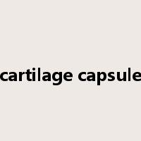 cartilage capsule是什么意思