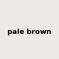 pale brown是什么意思