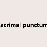 lacrimal punctum是什么意思