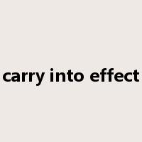 carry into effect是什么意思