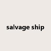 salvage ship是什么意思