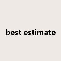best estimate是什么意思