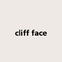 cliff face是什么意思