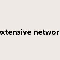 extensive network是什么意思