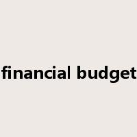 financial budget是什么意思