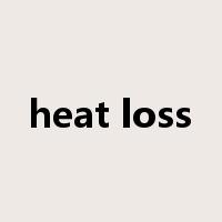 heat loss是什么意思