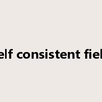 self consistent field是什么意思