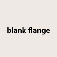 blank flange是什么意思