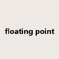 floating point是什么意思