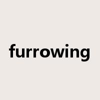 furrowing是什么意思