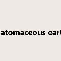 diatomaceous earth是什么意思