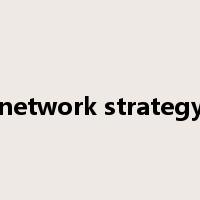 network strategy是什么意思