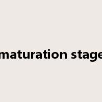 maturation stage是什么意思