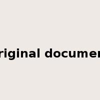 original document是什么意思