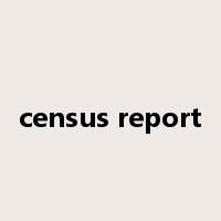 census report是什么意思