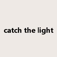 catch the light是什么意思