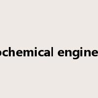 petrochemical engineering是什么意思